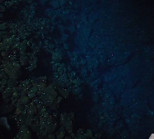  Jameos del Agua Cesar Manrique