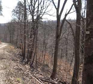 Geologischer Lehrpfad Kirnbachtal