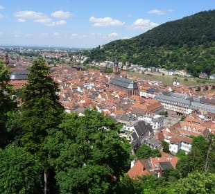 Schloss Heidelberg Ein- und Ausblicke