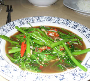 Vegetarisch praktisch gut