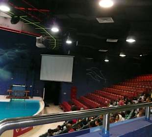 Dolphinarium