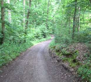 Wanderweg - Alter Steinbruch Pfaffenberg Runde