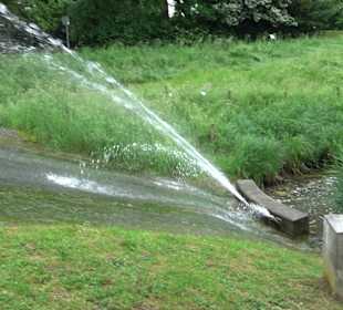 Forellenbächle Glacis Park