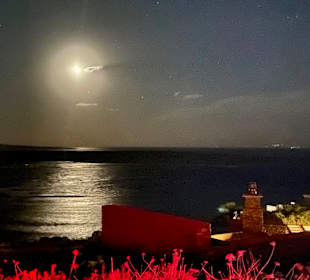 Inselrundfahrt Sardinien