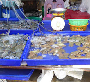 Große Auswahl von frischem aus dem Meer