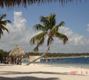 Animal Adventure Park