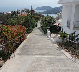 Strand Ligaria
