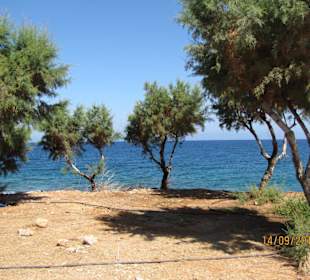 Okolica hotelu Aquis Vasia Beach & Spa