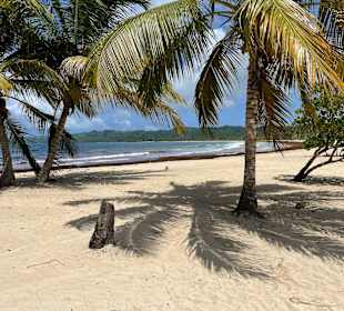 Strand Playa Rincon