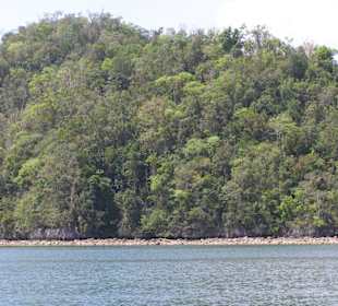 Nationalpark Los Haitises