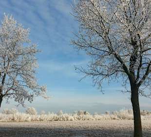 Traumwetter am 08.12.2016