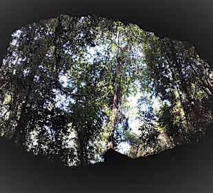 Wandern Moalboal 