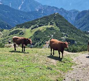 Wandern Hermagor - Pressegger See
