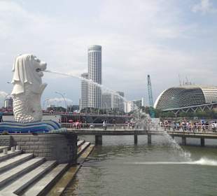 Picture from Free Singapore Tour out from airport