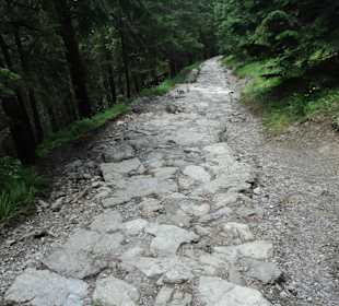 Tatrzański Park Narodowy