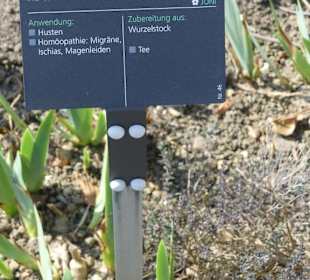 Hinweistafel zum eingepflanzten Kraut