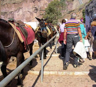 11.Tag Santorin Eselstation