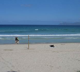 Strand von Alcudia super
