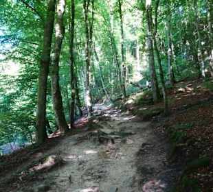 Wanderung durch die Kleine Luxemburger Schweiz