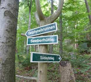 Südaufstieg zum Kleinen Gleichberg ü. Seeberhütte