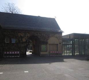 Zoo Heidelberg 