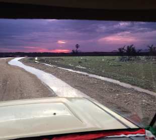 Amboseli Kleinflugzeug Landebahn 