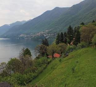 Blick vom Nesso