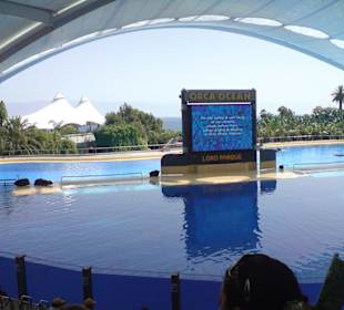 Ausflug Loro Park (Orca-Show)