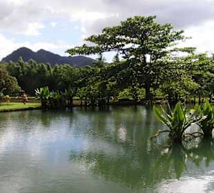 ruhiger kleiner Park