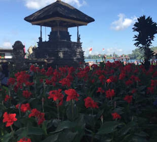 Wunderschöne Blumen - Tanah Loth 