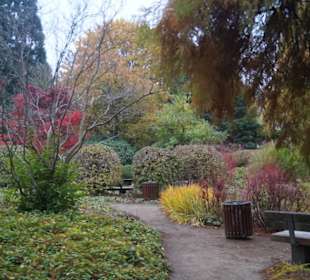 Parkanlage Planten un Blomen