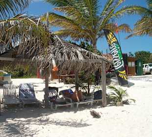 Surfstation Windyreef