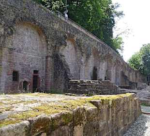 Schloss Heidelberg und Park