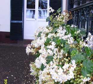 Ogrod botaniczny