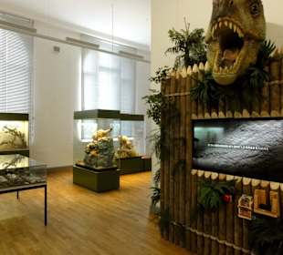 Naturkunde-Ausstellung