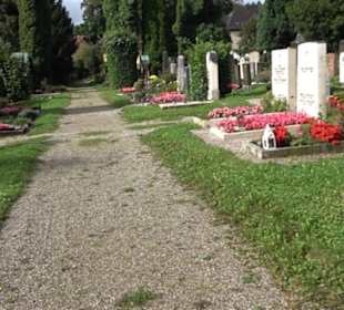 Friedhof