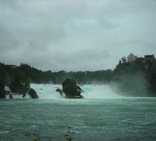 Rheinfall bei Regenwetter
