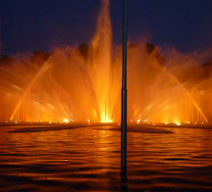 Lichtspiele bei Planten und Bloomen