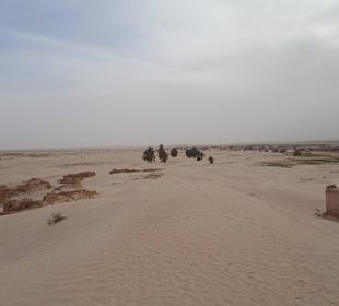 Ab geht`s in die Sahara