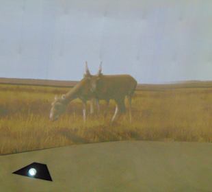 "Nur Alem" Museum für Zukunftsenergien in Astana