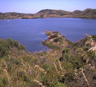 Naturpark S'Albufera d' Es Grau