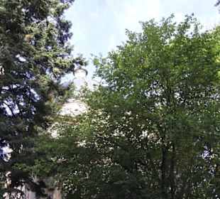 Gruftkirche der Fürsten zu Fürstenberg