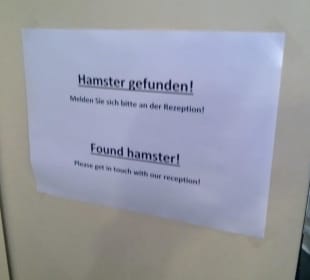 Hotel-Info im Aufzug ! Ausgehamster !