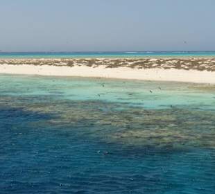 Insel