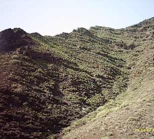 Bergwelt Gran Canaria