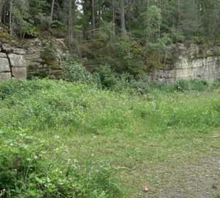 Wanderweg - Alter Steinbruch Pfaffenberg Runde
