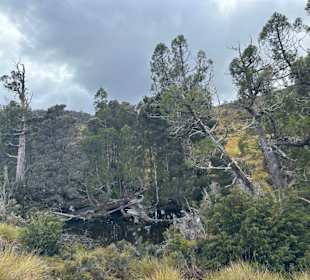 Cradle Mountain National Park