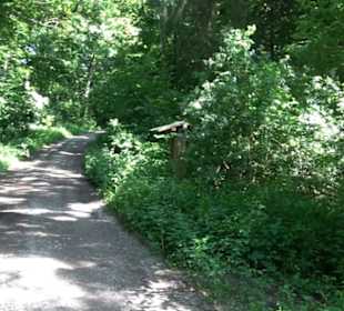 Waldinformationssystem „Lebendiger Wald“