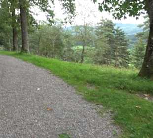 Naturschutzgebiet Zollerhalde Zimmern