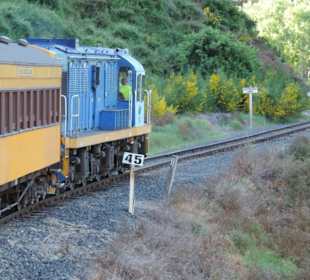 Mitder Taileri Railway durch die Natur Neuseelands